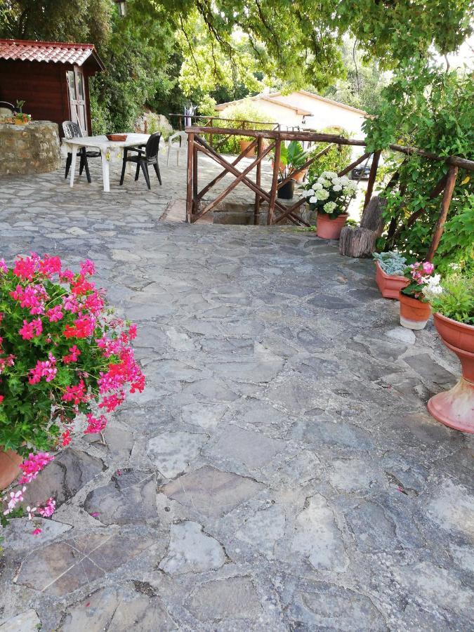 Villino Rosi Villa Monteverdi Marittimo Eksteriør bilde