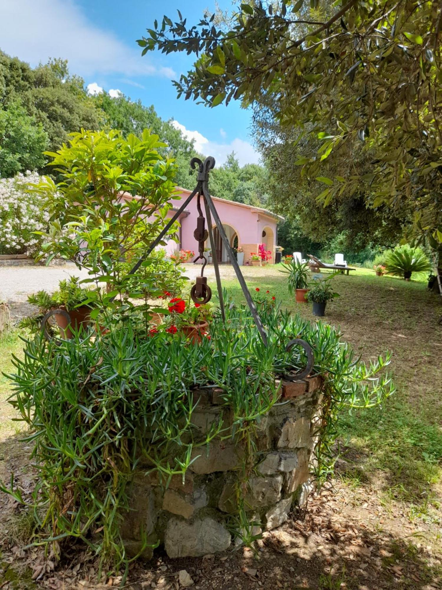 Villino Rosi Villa Monteverdi Marittimo Eksteriør bilde
